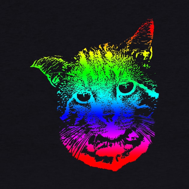 Rainbow Cat Design by Aziz